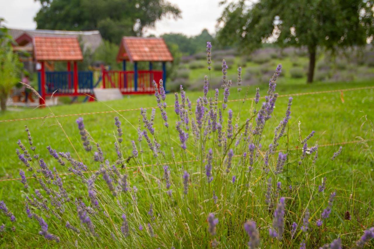 Lavanda Farm Apartmani Раковица Экстерьер фото