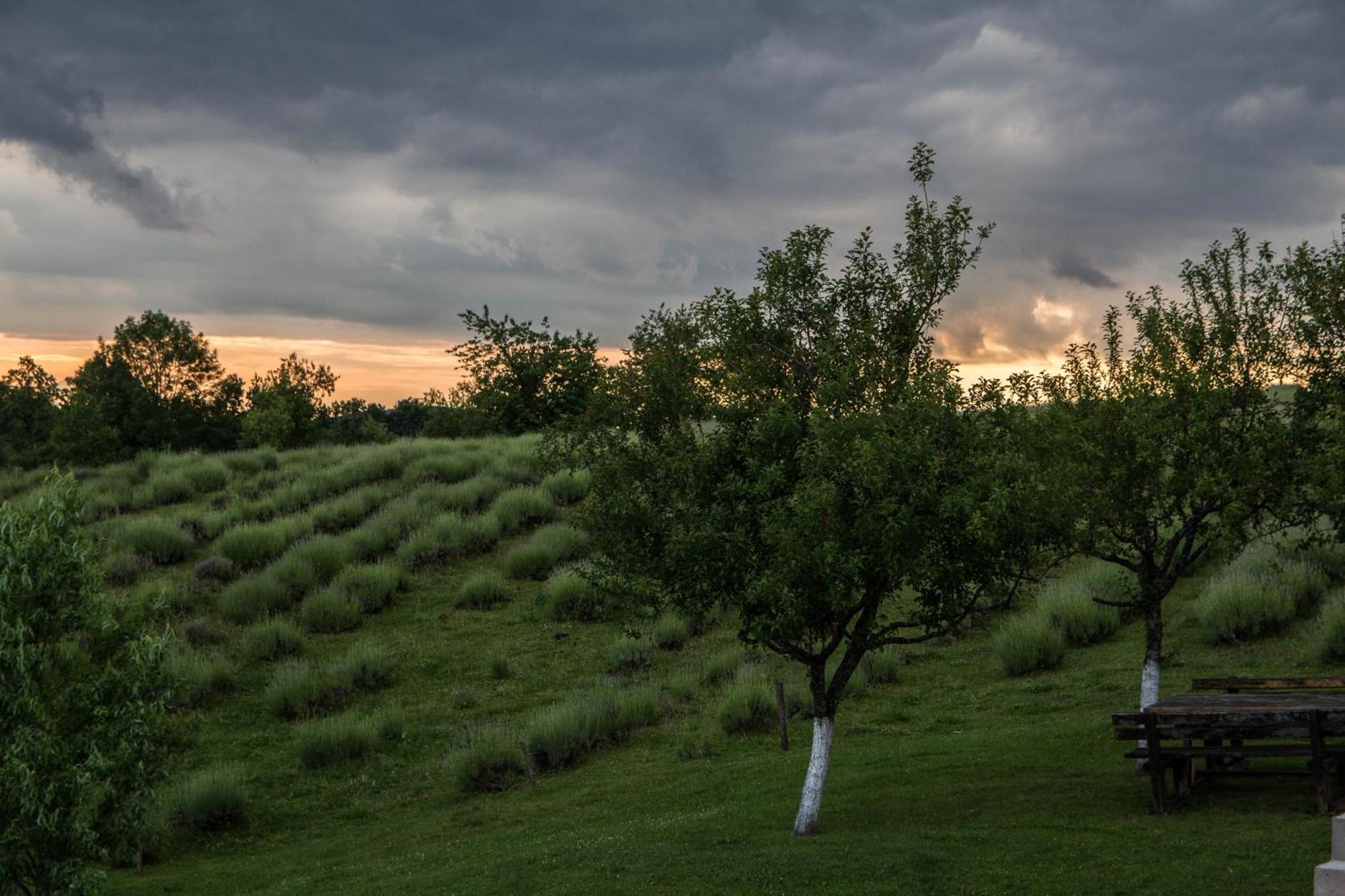 Lavanda Farm Apartmani Раковица Экстерьер фото