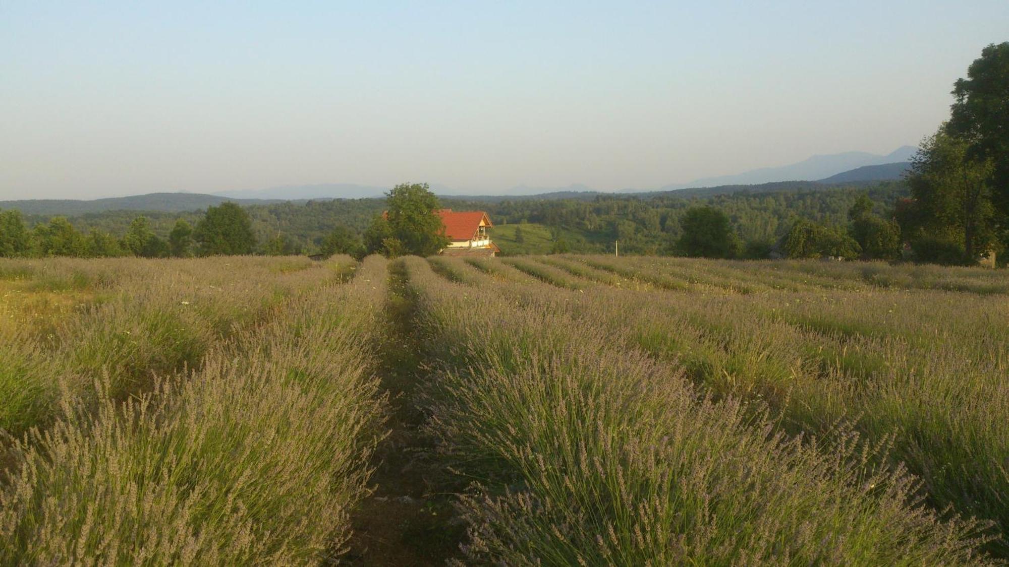 Lavanda Farm Apartmani Раковица Экстерьер фото