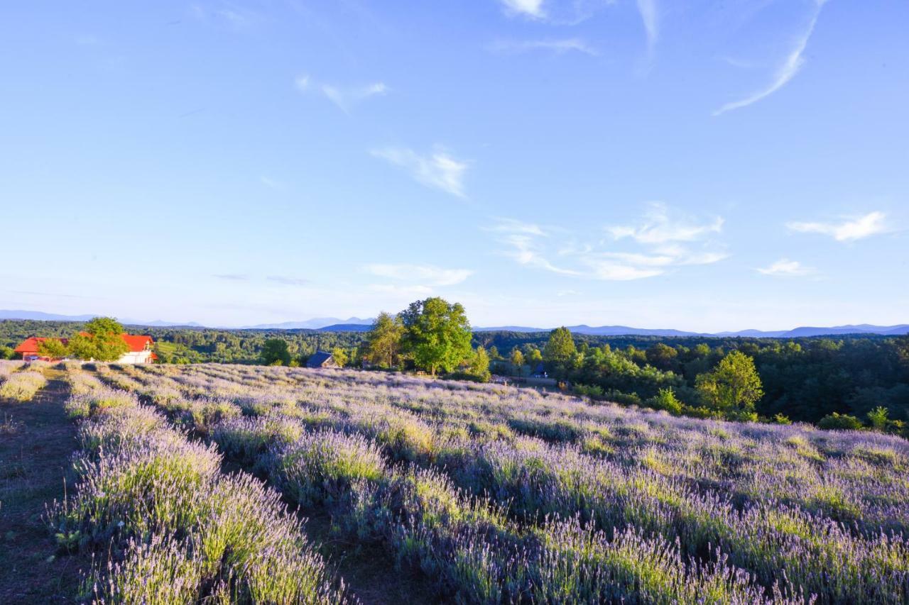 Lavanda Farm Apartmani Раковица Экстерьер фото