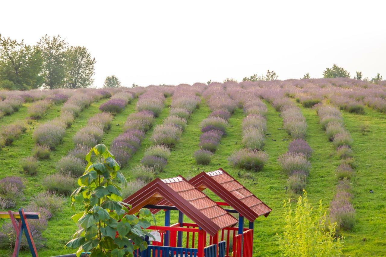 Lavanda Farm Apartmani Раковица Экстерьер фото