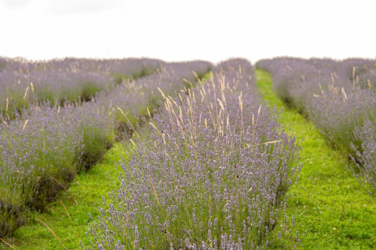 Lavanda Farm Apartmani Раковица Экстерьер фото