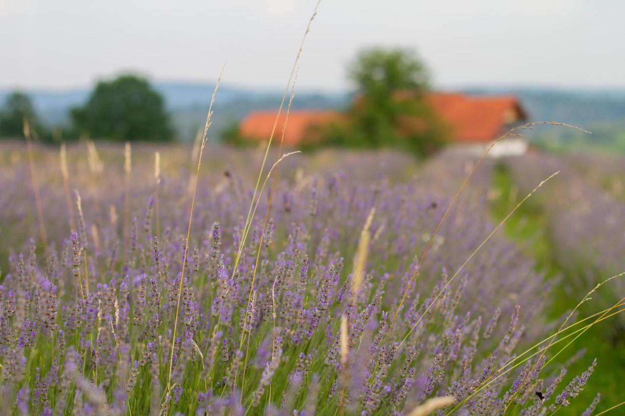 Lavanda Farm Apartmani Раковица Экстерьер фото